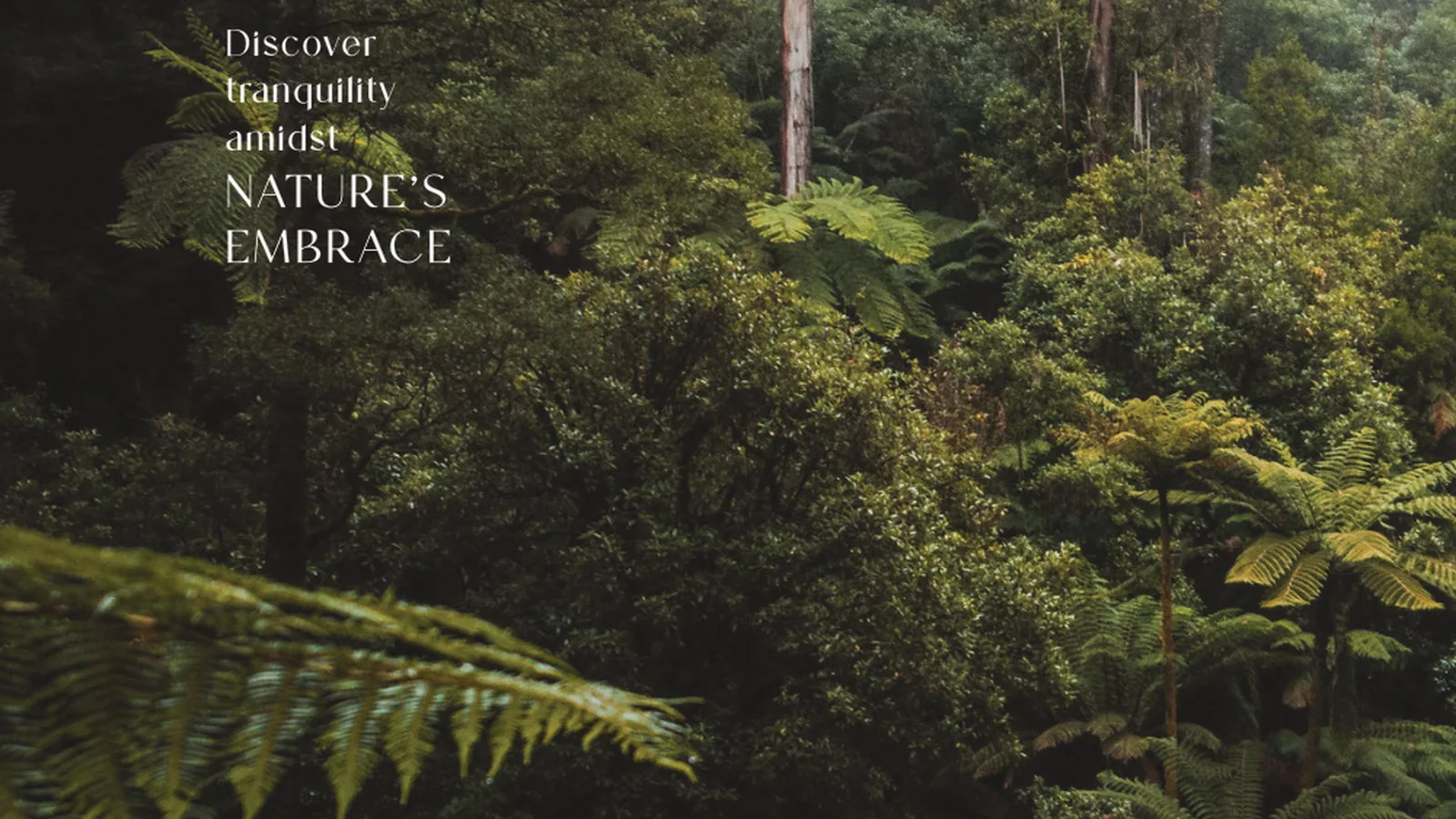 North Woods Residences visual rasmi 1